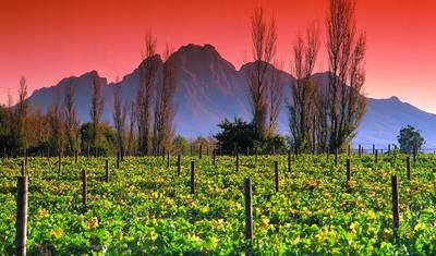 جولة سائق خاص: Addo - Garden Route - Cape Town (6 أيام) — 4