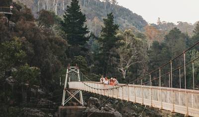 Ícones da Natureza Selvagem da Tasmânia (6 Dias) — 5