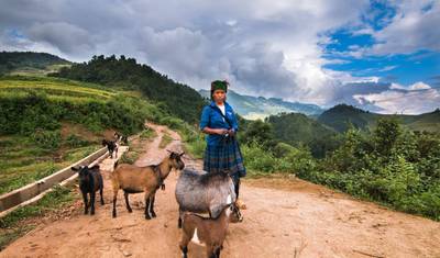 فيتنام المميزة في 13 يومًا بواسطة Realistic Asia — 4