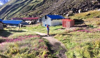 Trekking Econômico Annapurna Poonhill Ghorepani - 8 Dias — 5