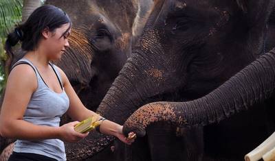 Sri Lanka Wildlife & Nature -  1 — 4