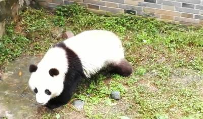 Tibet Express de Trem do Planalto: Pequim, Xining, Lhasa e Chengdu, 8 Dias — 5
