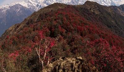 Ghorepani Poonhill Trekking — 4