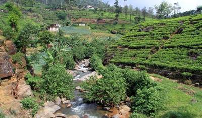All in One Sri Lanka, Private Tour — 4