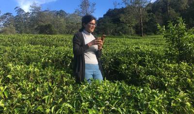 Sri Lanka para Famílias - 10 Dias — 5
