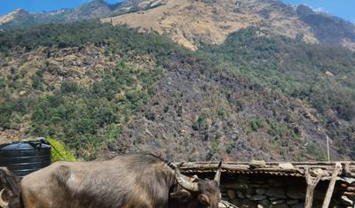 Trekking Chisapani Nagarkot — 3