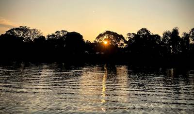 Safári na Selva de Chitwan — 2