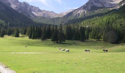 Trekking przez Alpy z Innsbrucka do Sterzing — 5