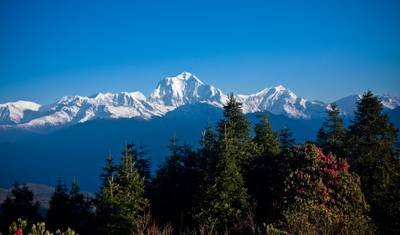Trekking do Nascer do Sol em Poonhill - 7 Dias — 5