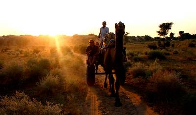 Excursão por Gujarat e Rajastão — 4
