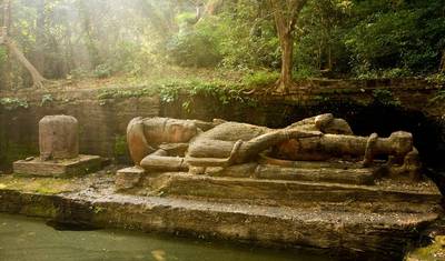 Madhya Pradesh野生動物サファリの旅 — 2
