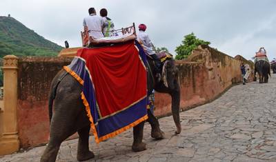 Excursão ao Taj Mahal com Udaipur — 4