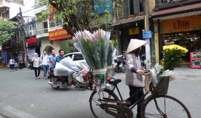 O Melhor da Indochina em 21 Dias — 3