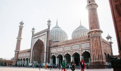 Excursão de 10 Dias pela Vida Selvagem com Jaipur — 5