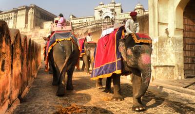 Circuito Triângulo Dourado com Jodhpur — 5