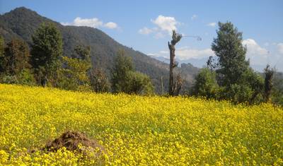 Trekking Ghorepani Poonhill — 5