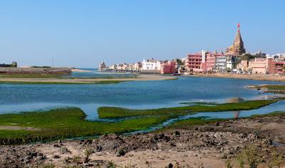 جولة Sasan Gir مع Somnath Dwarka — 4