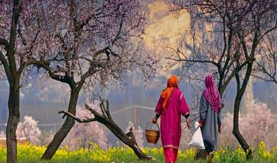 Blissful Kashmir — 2