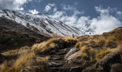 Caminhada ao Santuário de Annapurna (para iniciantes e trekkers mais velhos) — 5