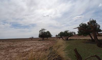 Tour pelo Gobi e a cavalo — 4