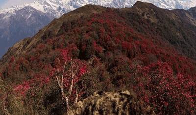 Trilho Mardi Himal — 2