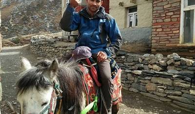 Horse Ride Annapurna Circuit Trek — 2