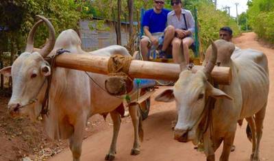 5-Day in Cultural Heart of Sri Lanka — 4