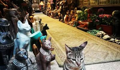 Package 6 Days 5 Nights to Cairo & Desert Adventure — 3