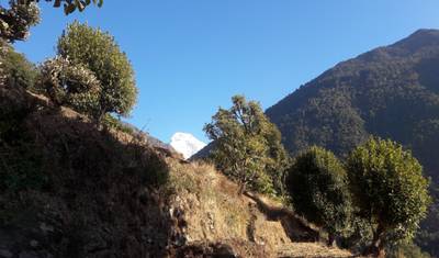 Caminhada Ghorepani Poon Hill — 2