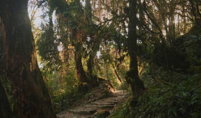 Tour de Mountain Bike em Nagarkot — 5