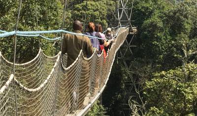 Safari de 12 Dias em Ruanda e Além (Parque Nacional dos Vulcões, Parque Nacional da Floresta de Nyungwe, Parque Nacional de Akagera) — 5