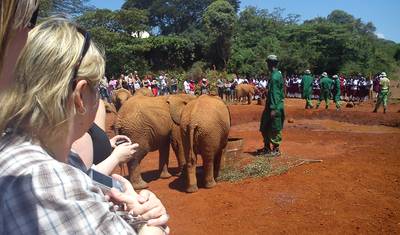 Passeio de um dia: David Sheldrick e Centro de Girafas — 4