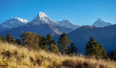 Trekking Curto Ghorepani Poon Hill — 2