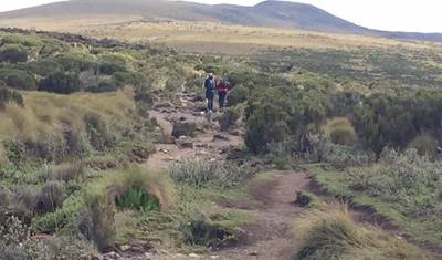 نزهة Mt Kenya ليوم واحد — 3