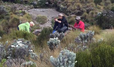 نزهة Mt Kenya ليوم واحد — 5
