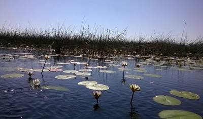 Botswana Grandeur Explorer Tour: Okavango Delta, Chobe National Park, Victoria Falls — 2