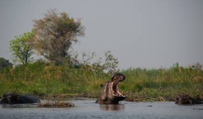 Botswana Grandeur Explorer Tour: Okavango Delta, Chobe National Park, Victoria Falls — 5