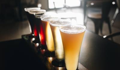 プエルトリコ コーヒー ツアーと滝体験 — 3
