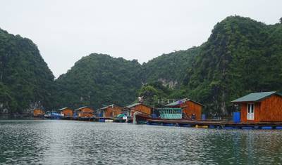 Cruzeiro Noturno em Bai Tu Long Bay e Ha Long Bay com Caverna, Caiaque, Festa ao Pôr do Sol,... — 5