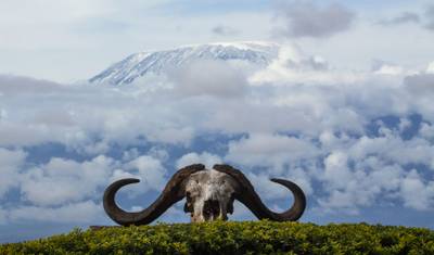 Kila Kitu Kenya Luxury Safari – 6 Days — 3