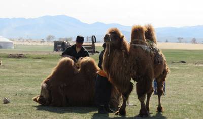 3 Weeks Great Mongolia & Horse back trip — 4