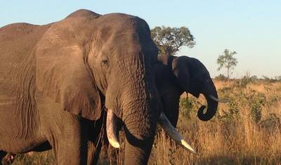Safari de 8 Dias: Parque Kruger à Cidade do Cabo — 3