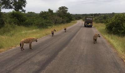 Safari de 8 Dias: Parque Kruger à Cidade do Cabo — 5