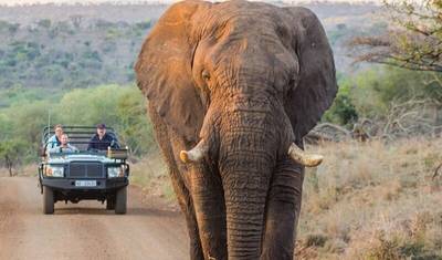 Soweto to Pretoria & Pilanesberg Big 5 Game Drive — 2