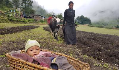 Trek wokół Manaslu — 2