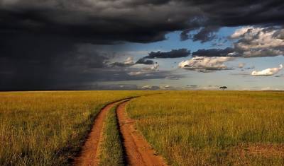 5 Dias de Safáris de Vida Selvagem em Amboseli, Tsavo West e Tsavo East — 3