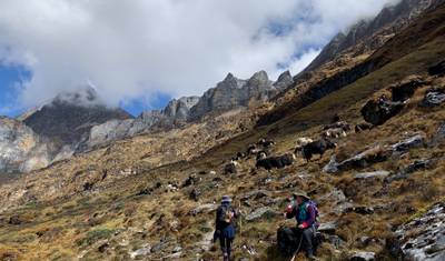 Snowman Trek — 5