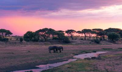 Excursão de 5 Dias à Reserva de Caça Selous e ao Parque Nacional Mikumi — 4