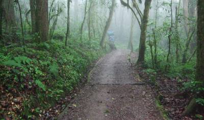 Wspinaczka na Kilimandżaro, Trasa Lemosho, 7-dniowy trekking, 9-dniowa wycieczka — 3