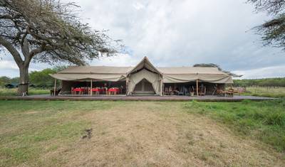 7 Days Kenya and Tanzania private  medium range driving safari — 5
